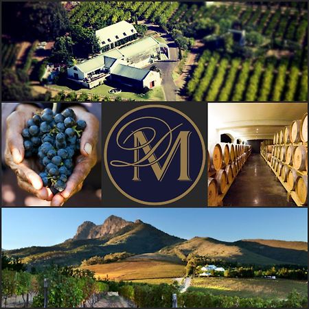לינה וארוחת בוקר סטלנבוש Marianne Wine Estate מראה חיצוני תמונה