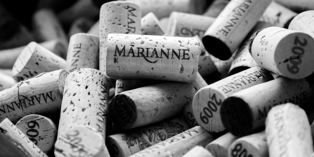 לינה וארוחת בוקר סטלנבוש Marianne Wine Estate מראה חיצוני תמונה