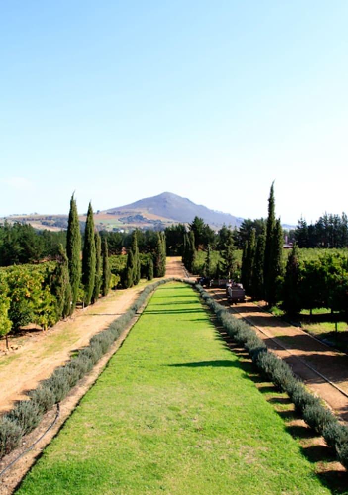לינה וארוחת בוקר סטלנבוש Marianne Wine Estate מראה חיצוני תמונה