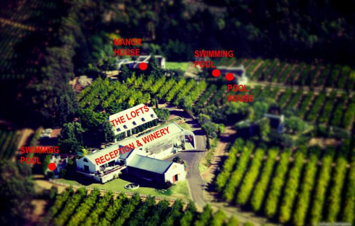 לינה וארוחת בוקר סטלנבוש Marianne Wine Estate מראה חיצוני תמונה