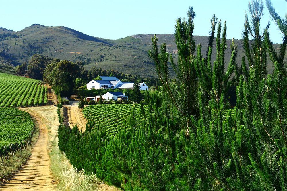 לינה וארוחת בוקר סטלנבוש Marianne Wine Estate מראה חיצוני תמונה