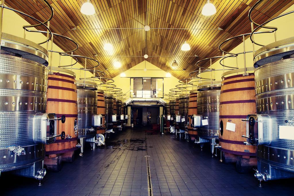 לינה וארוחת בוקר סטלנבוש Marianne Wine Estate מראה חיצוני תמונה