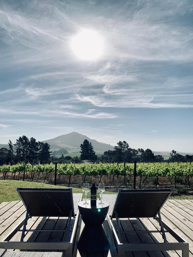 לינה וארוחת בוקר סטלנבוש Marianne Wine Estate מראה חיצוני תמונה